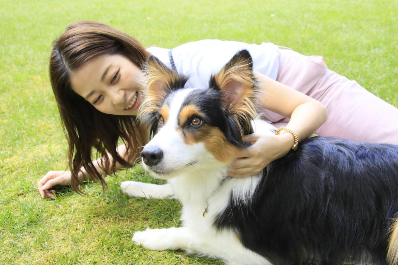 Yutorelo Tateshina Hotel With Dogs Chino Bagian luar foto