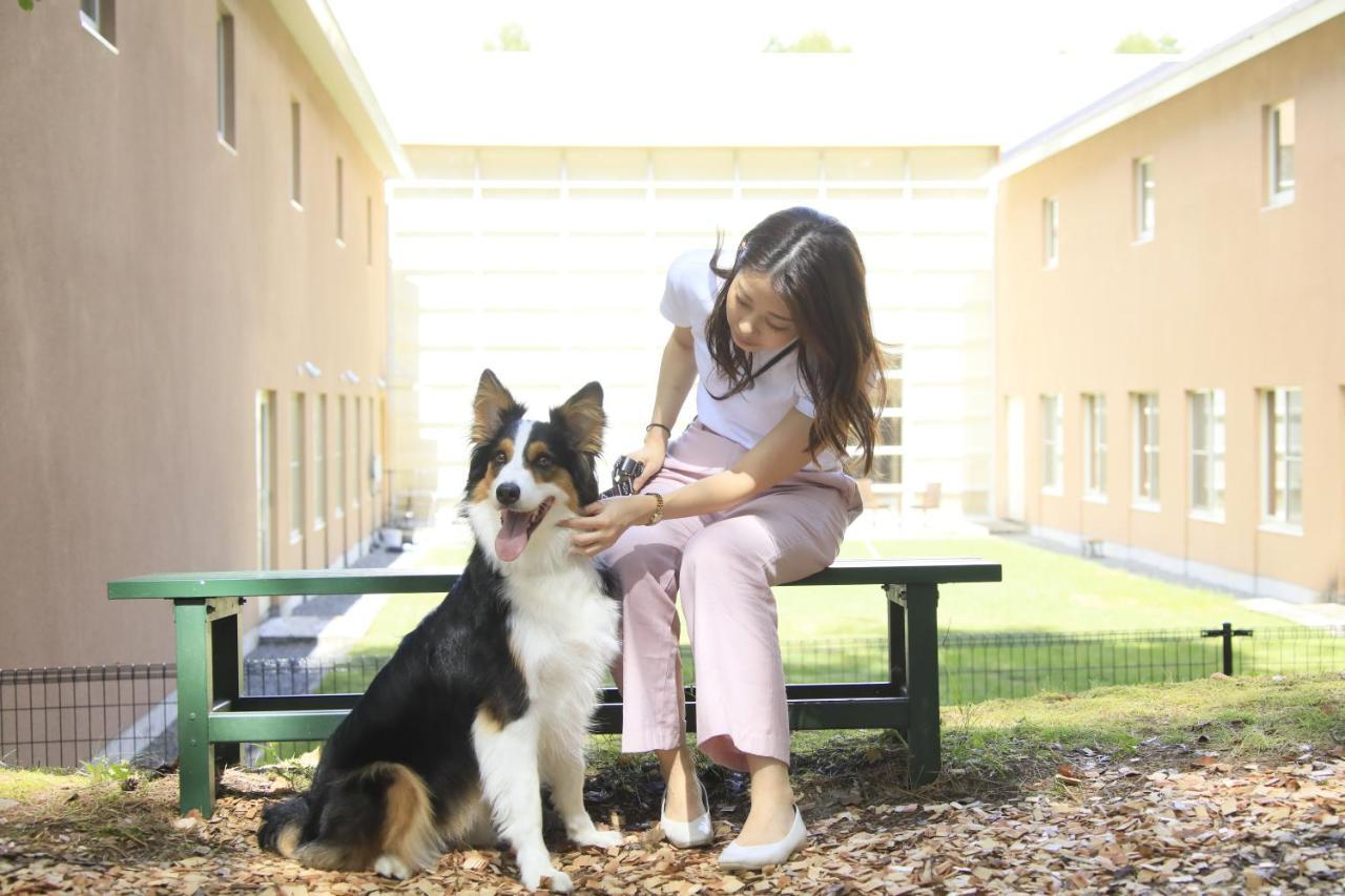 Yutorelo Tateshina Hotel With Dogs Chino Bagian luar foto